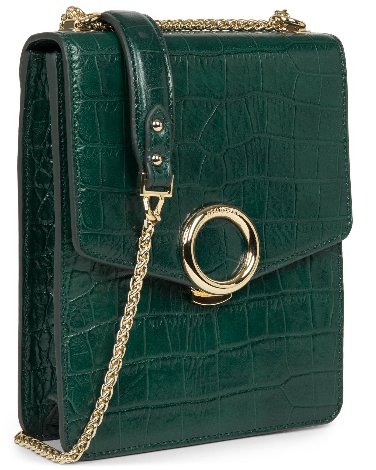 muse croco #couleur_vert alpincroco